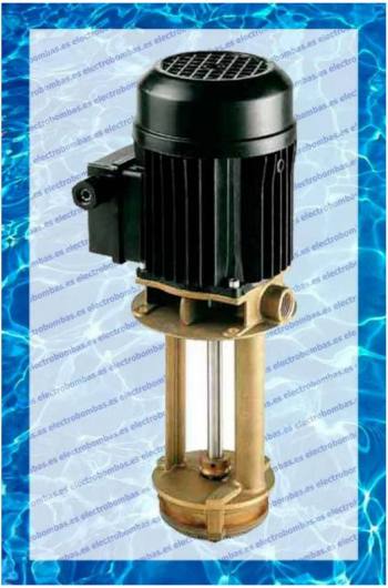 Bombas Inmersión PS-60-Cana-183