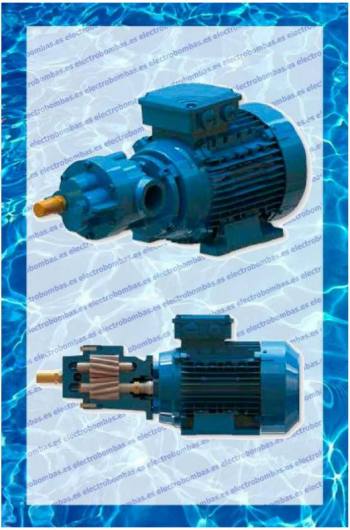 Bombas de Engranaje BRMF2-012-GVR